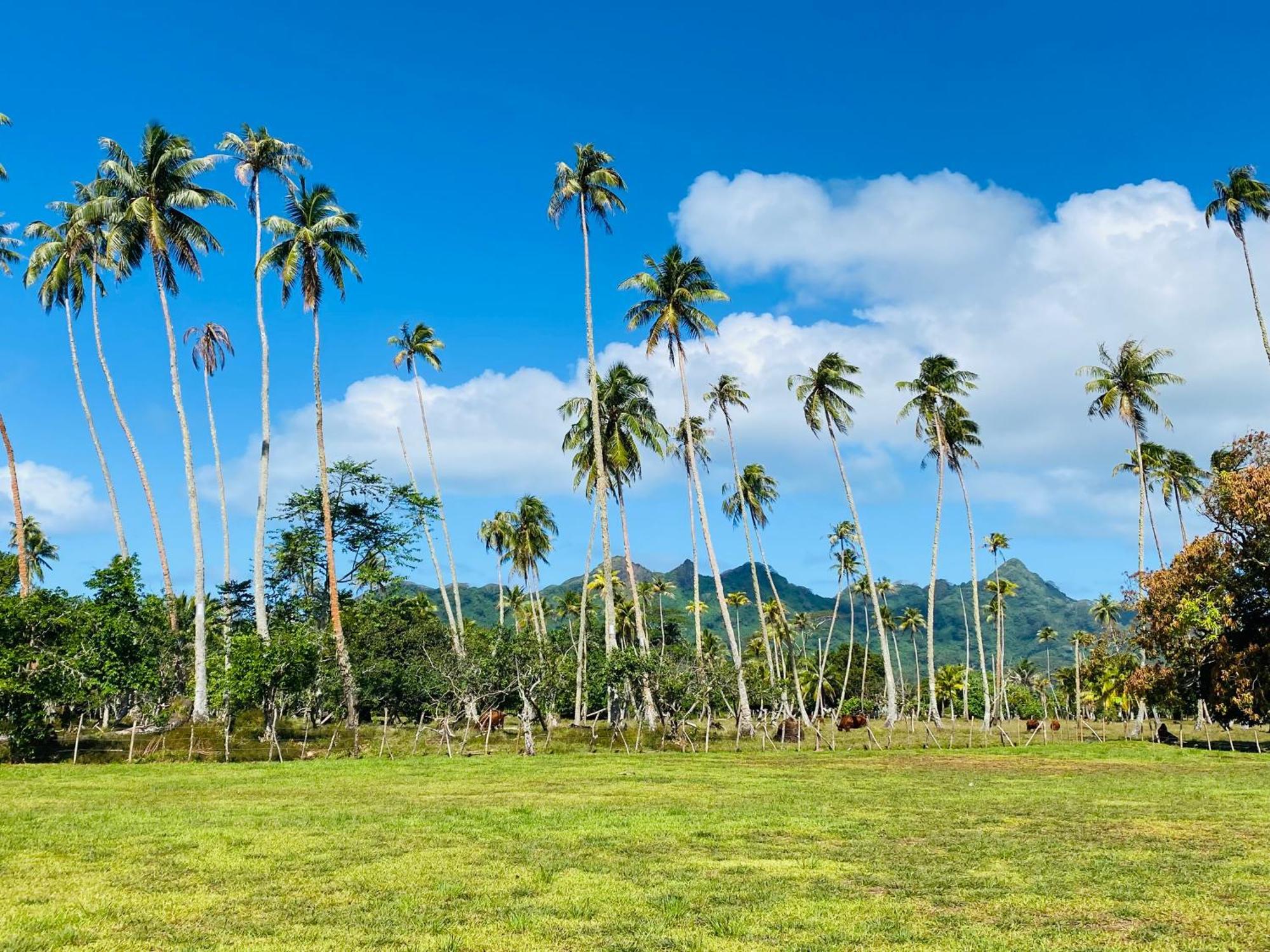 Huahine Serenity Cottage Maroe Exterior photo